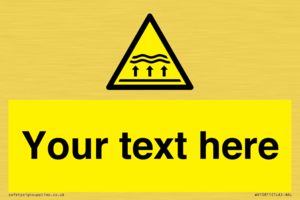 Custom Warning: Flood zone